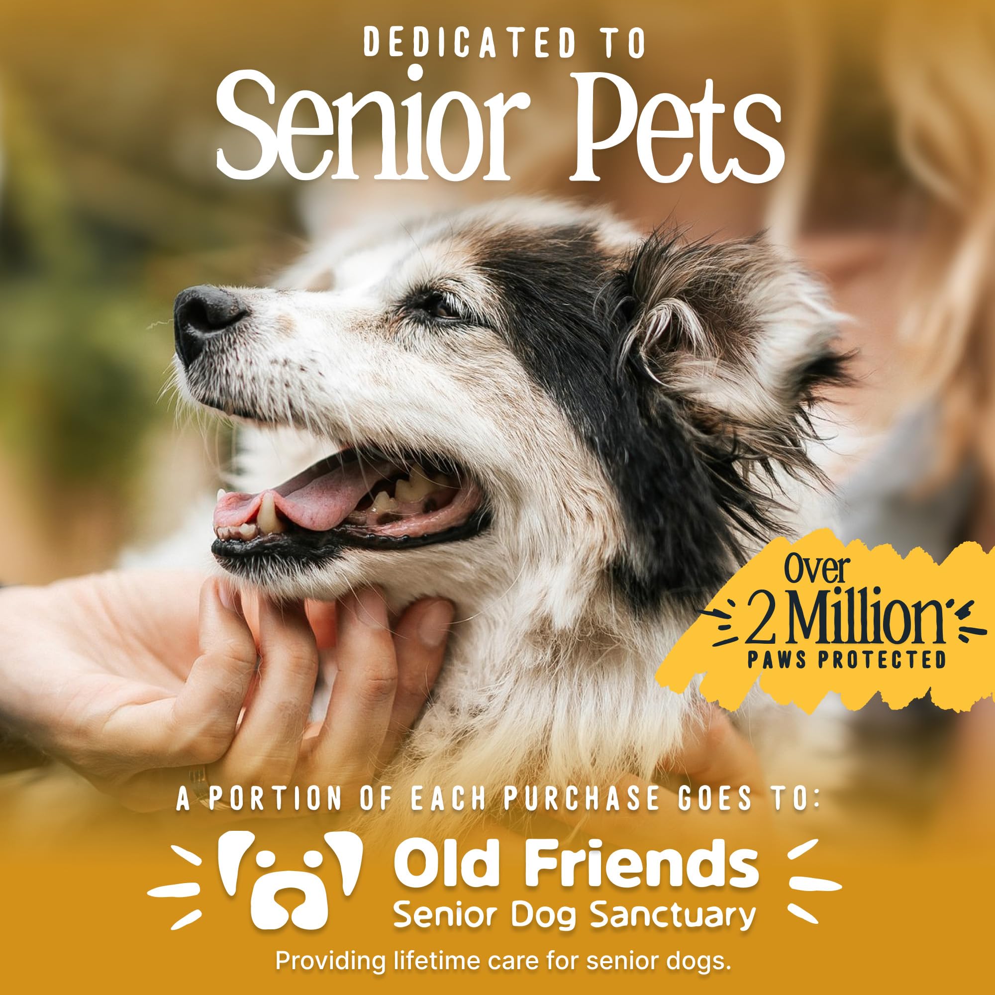 DOK TigerToes Premium Paw Grips for Senior Dogs, 40ct of Pre-Cut Anti Slip Dog Paw Pads for Hardwood Floors, Provides Traction for Slipping (40 Total Grips, Size Large) — view 9