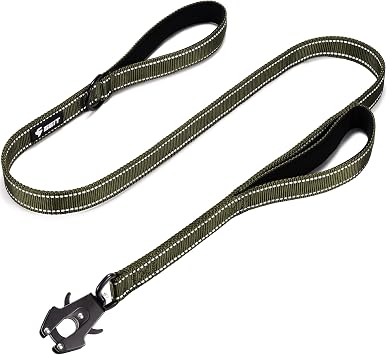 GEIT 2 Padded Handles Heavy Duty Dog Leash for Small Medium and Large Dogs