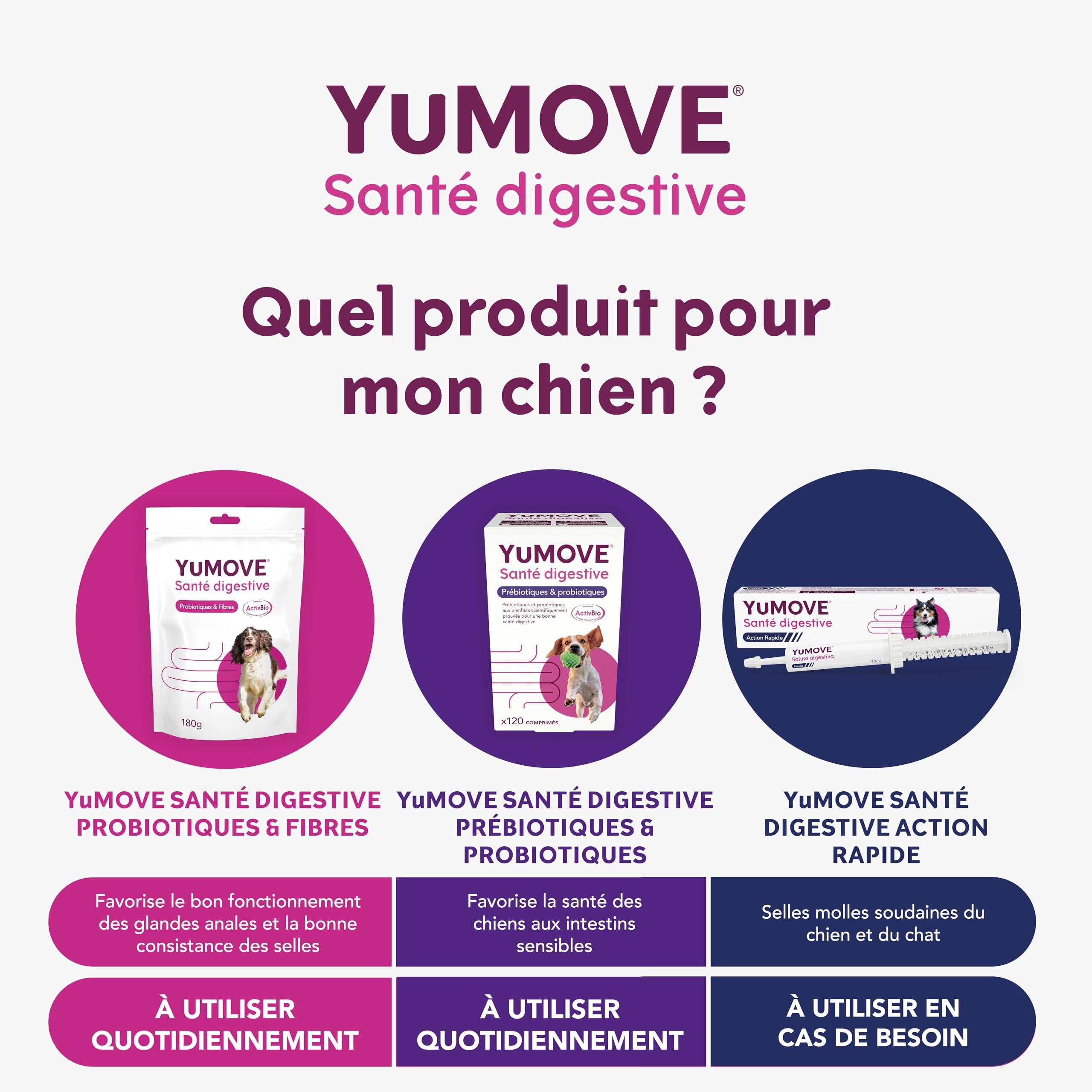 YuMOVE Pré et Probiotique Chien 120 Comprimés - 200M+ Bactéries Probiotiques E. faecium & Complexe ActivBio avec Bêta‑Glucanes - Probiotiques Flore Intestinale Chien pour Une Meilleure Digestion