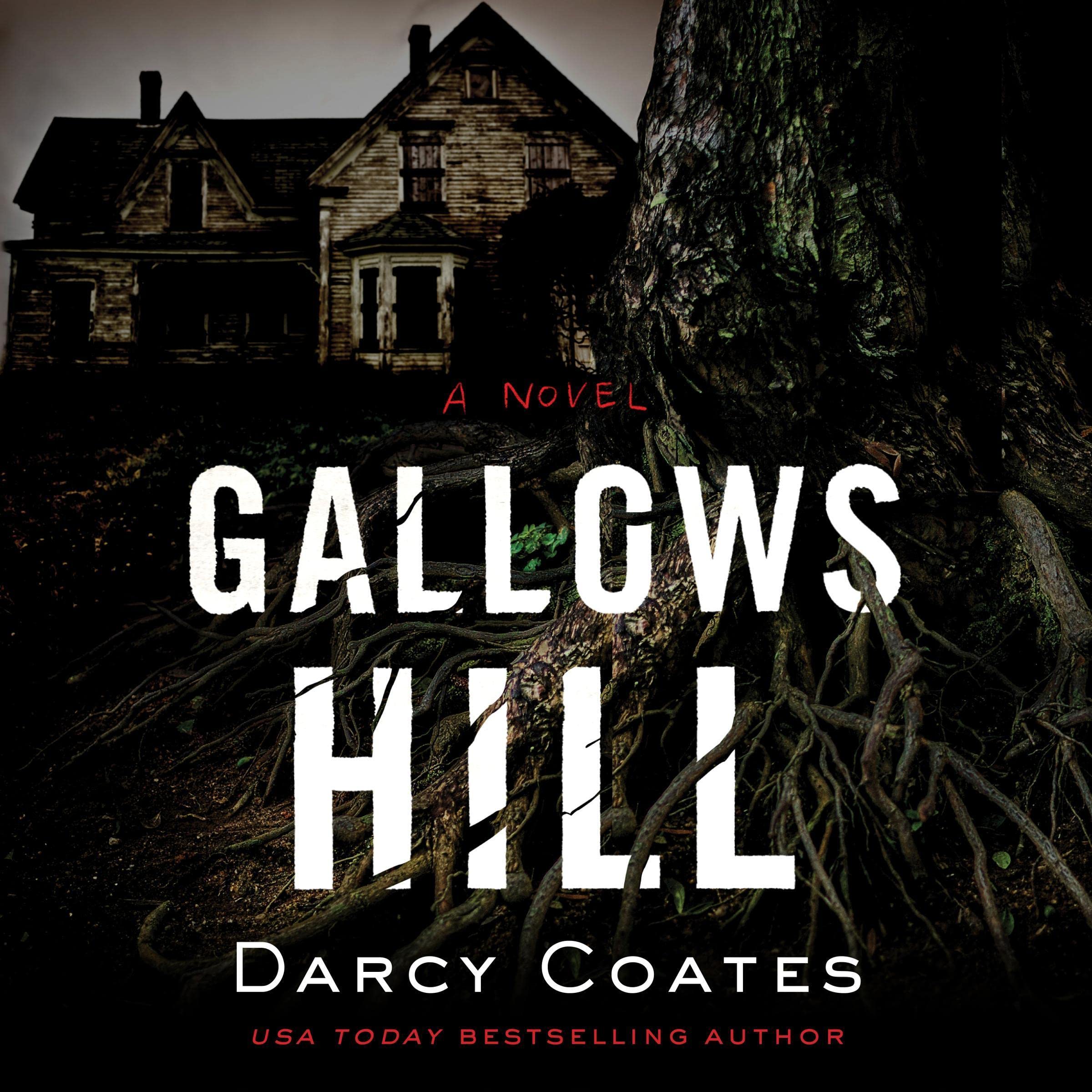 Cover art for Gallows Hill