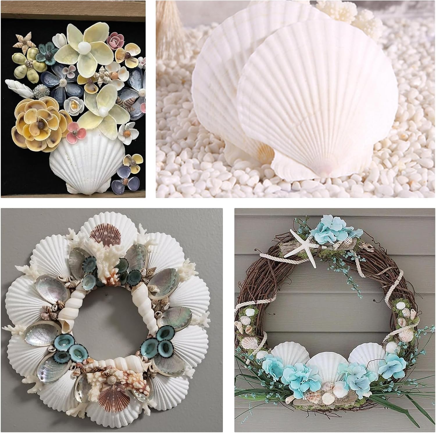 8PCS Large Natural White Sea Shells for Crafts & Home Decor - DIY Scallop Shells for Painting & Beach Wedding Decor