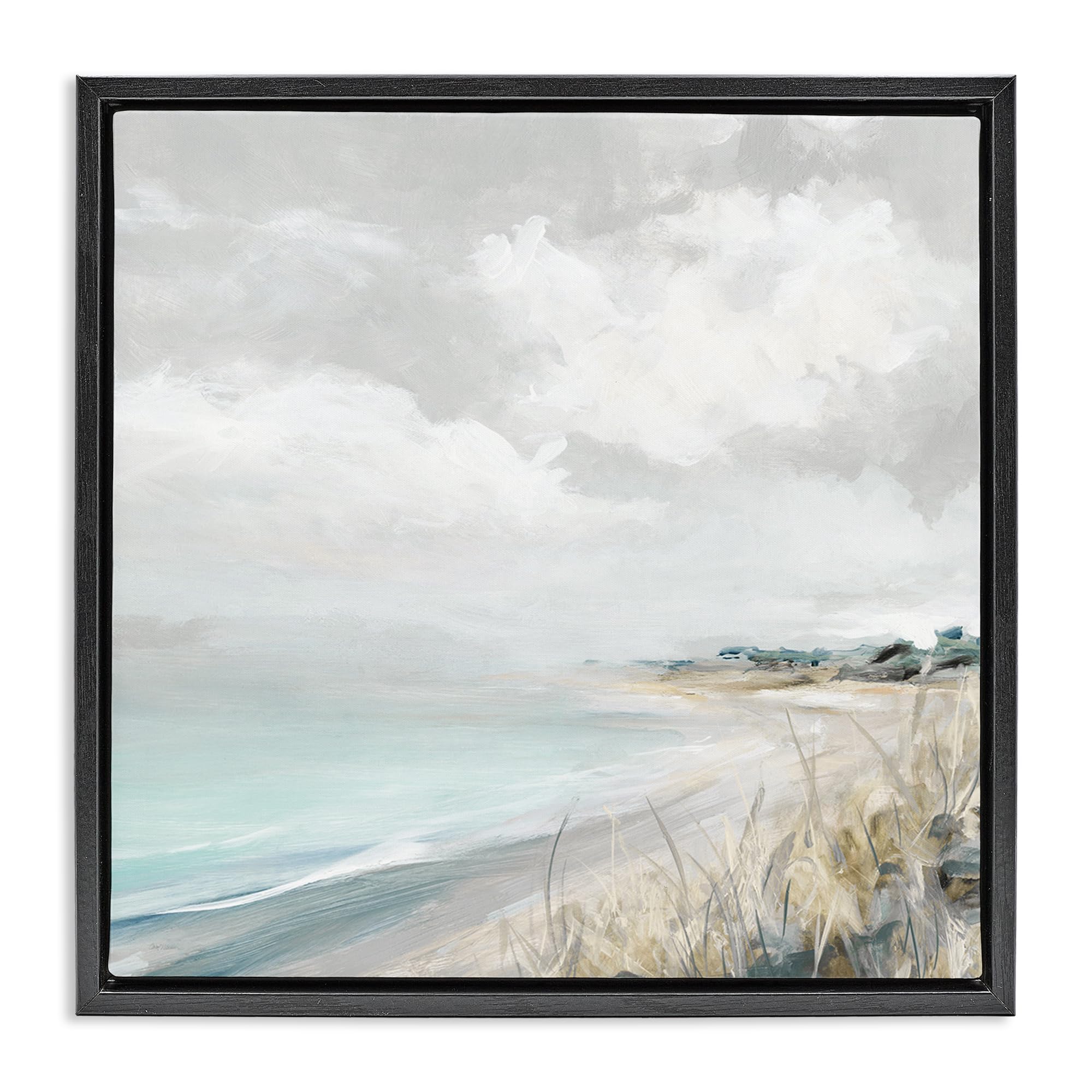 Stupell Industries Jet Black (Matte) 'Coastal Morning By The Dunes'| Floating Frame Canvas Art