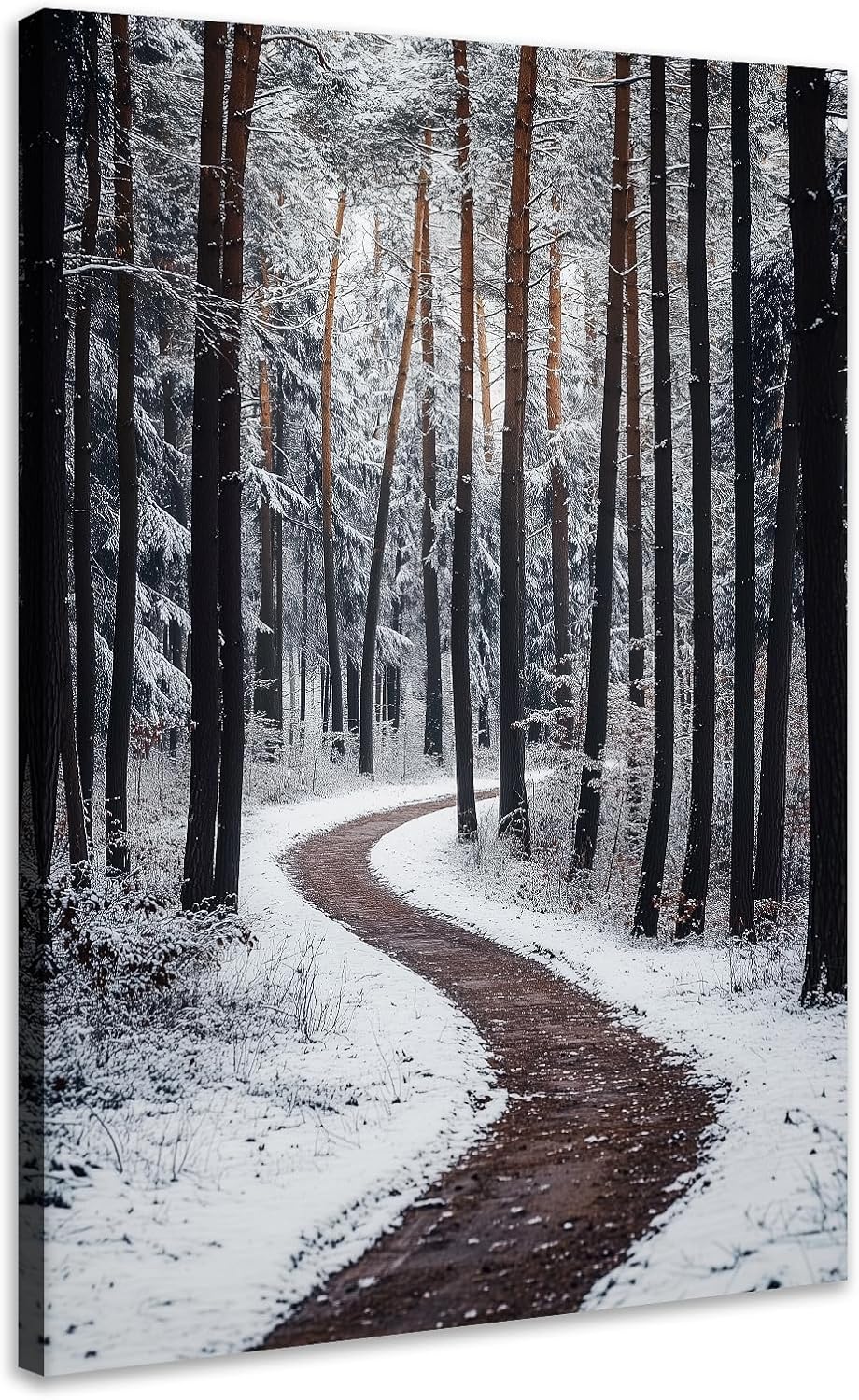 Amazon.com: JINLUNTA Winter Landscape Canvas Wall Art Snowy Forest Path ...