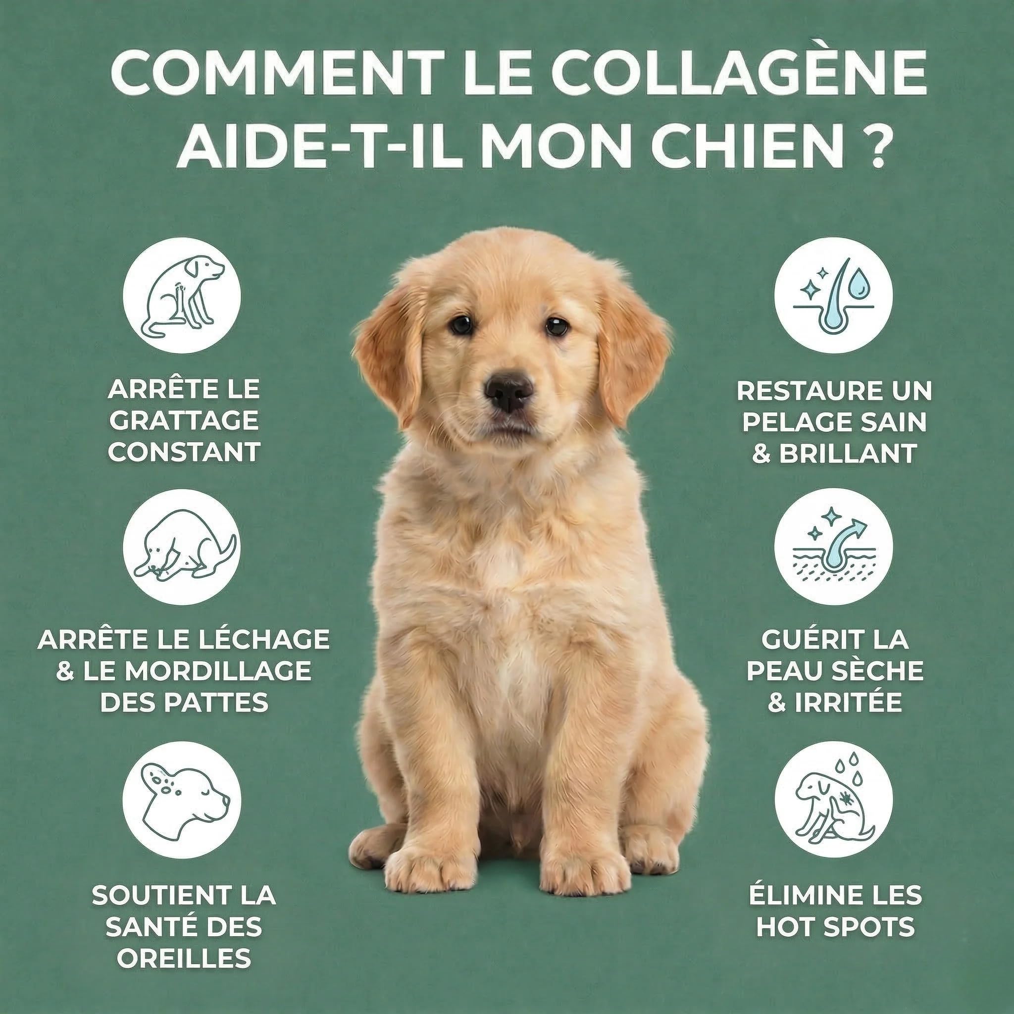 PurCanin Collagène Liquide pour Chiens, Supplément Peau, Pelage et Articulations, Soulage Démangeaisons et Peau Sèche