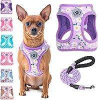 Vista 43 de BEAUTYZOO - Juego de arnés y correa para perros y gatos pequeños, extrapequeños y medianos, arnés tipo chaleco fácil de poner, antiasfixia