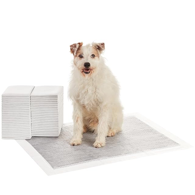 Amazon Basics Almohadillas de adiestramiento de perros y cachorros, carbón para control de olor