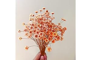 200 Natural Dried Orange Flowers: Petite Blooms for Aromatic Decor