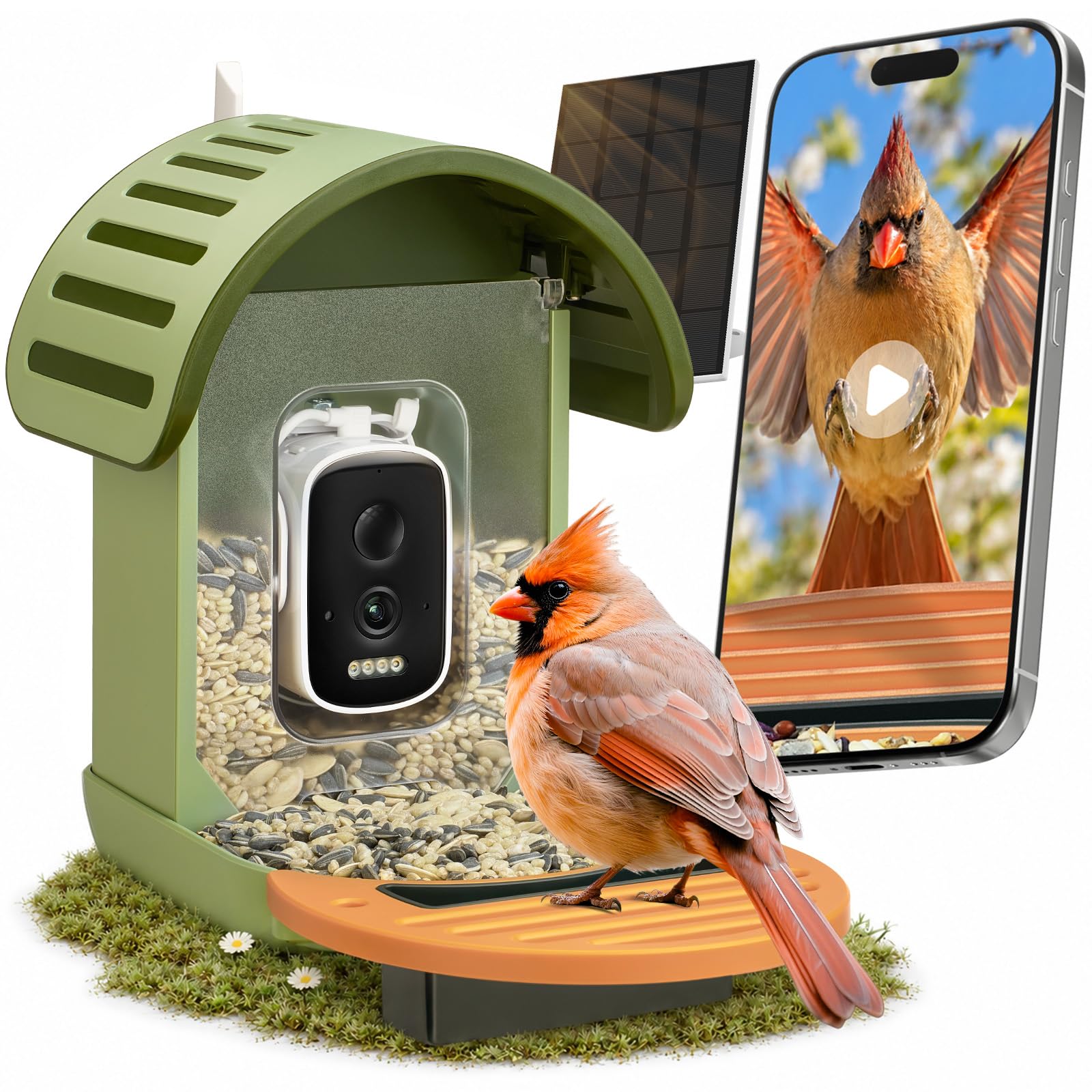 Smart Bird Feeder with Camera Green