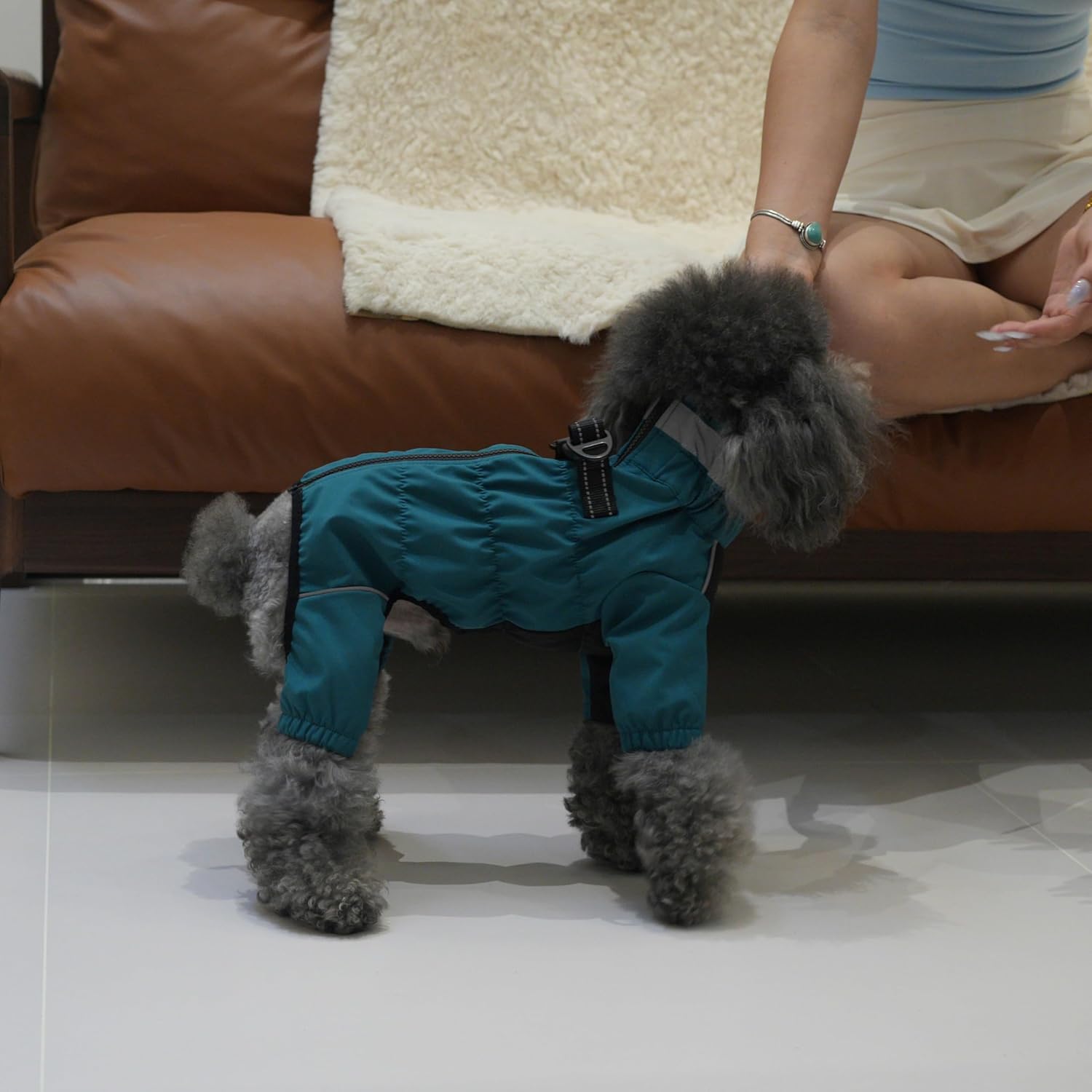 Winter Waterproof Dog Snowsuit – Full Body Outdoor Jacket with Leash Ring, Fleece Lining, Windproof Reflective 4-Leg Dog Coat for Small to Large Dogs Teal Blue XXS