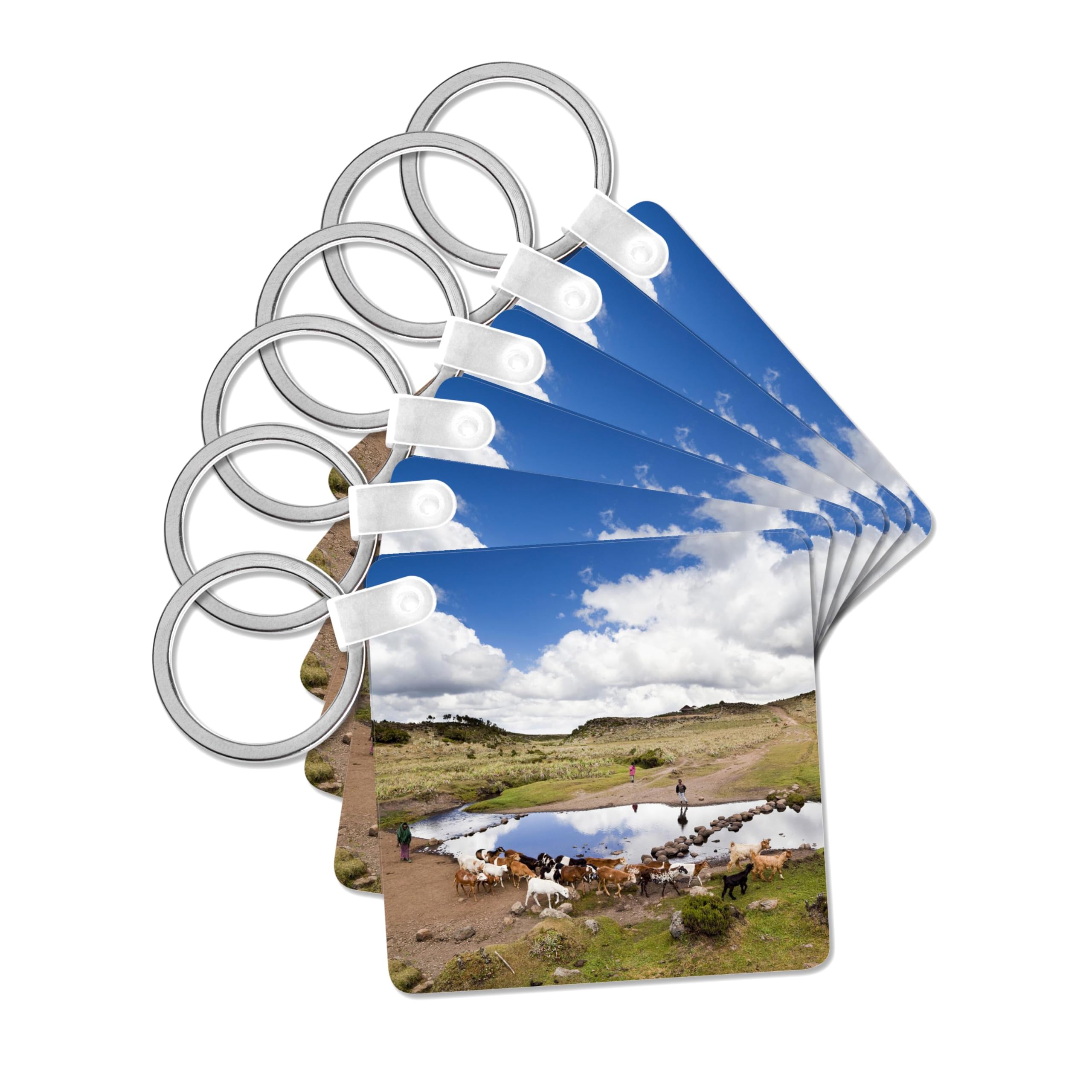3dRose, Herd tended by Oromo kids, Bale Mountains, Ethiopia - AF16 MZW0072 - Martin Zwick, set of 6 Key Chains