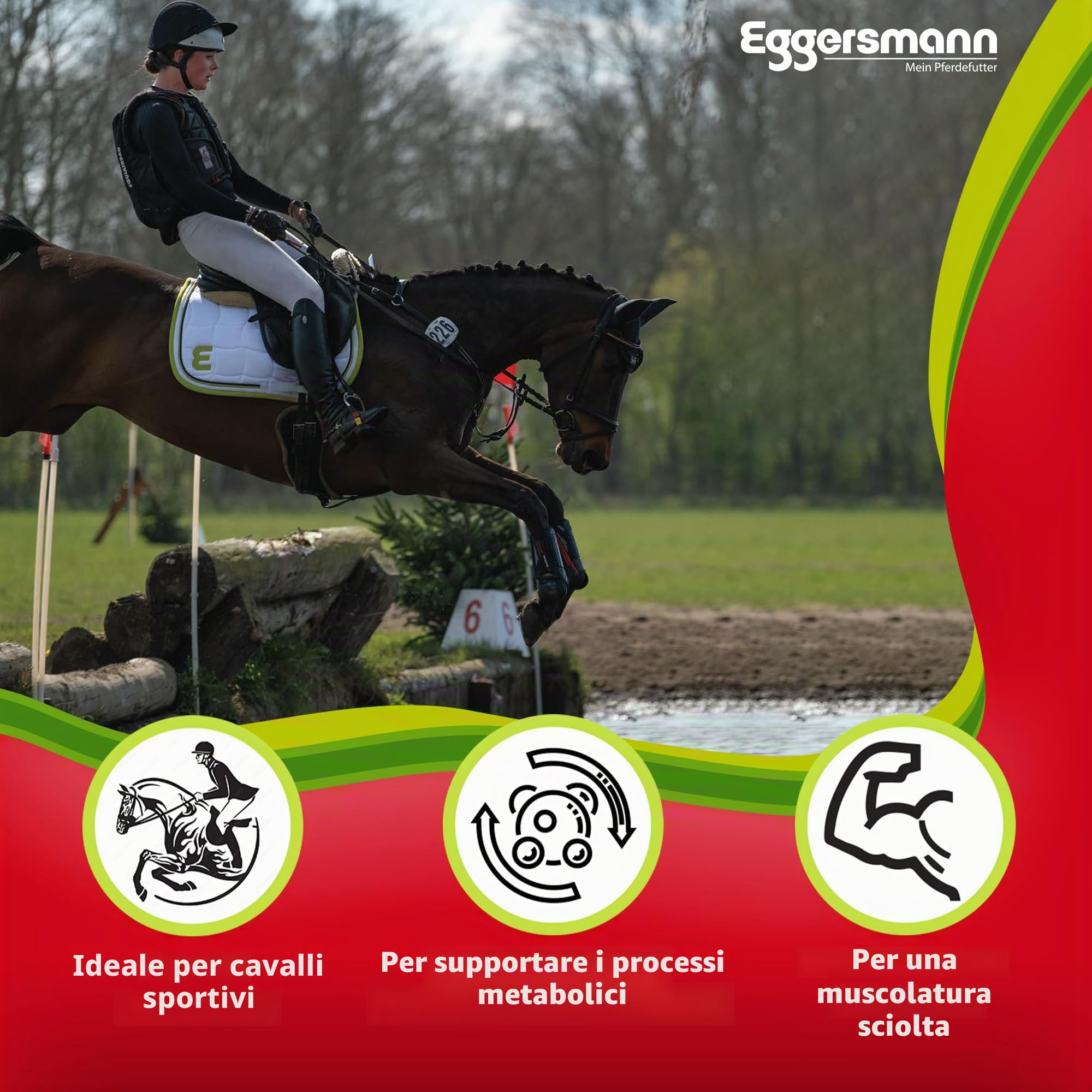 Eggersmann Mein Pferdefutter Aminoral Professionale 6 kg – Concentrato con aminoacidi Essenziali – Supporta la Costruzione Muscolare, la ritabilità e la Resistenza – Mangime complementare Ideale per