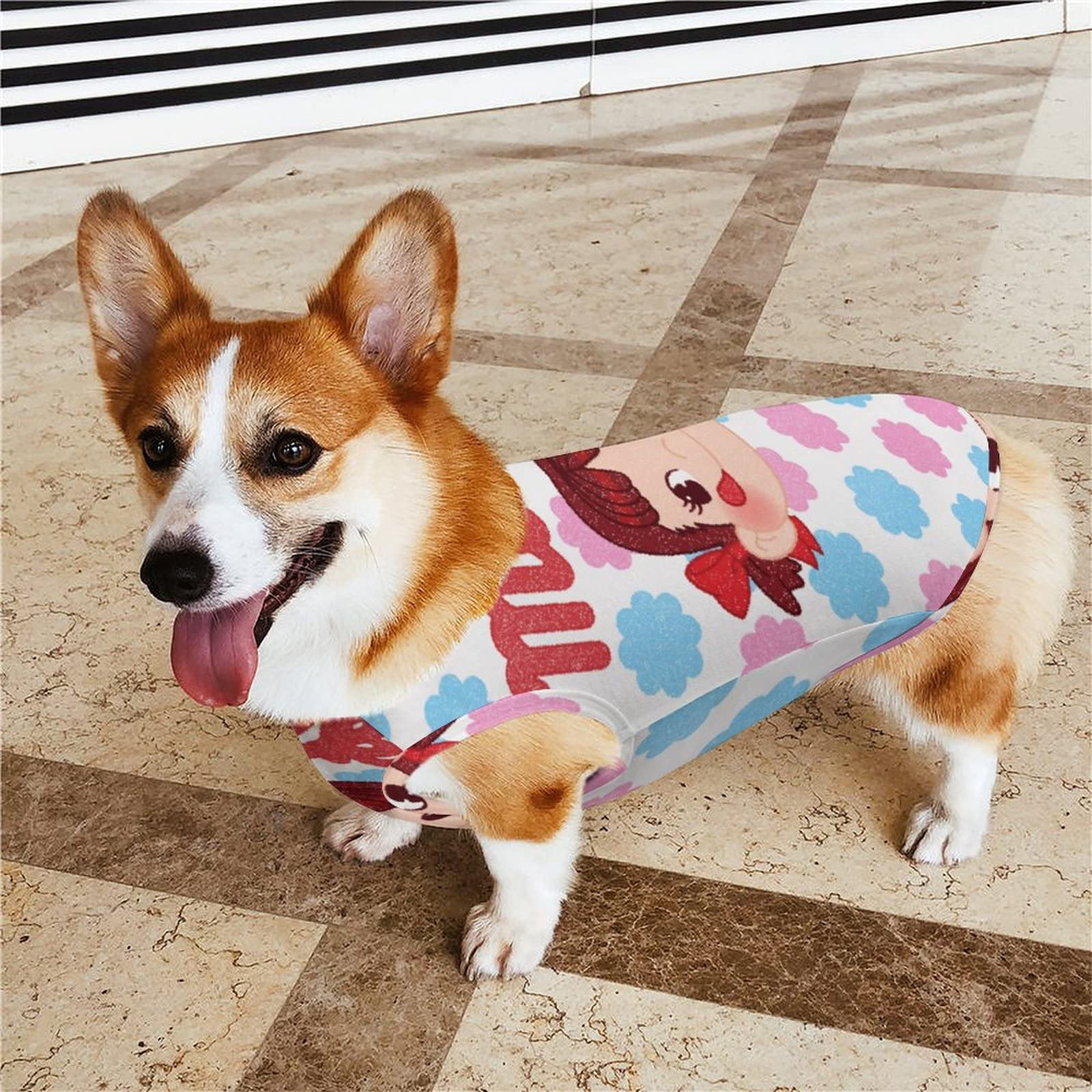 Amazon | ペコちゃん 犬服 Tシャツ 春夏秋 小中型犬 ひんやり ペット