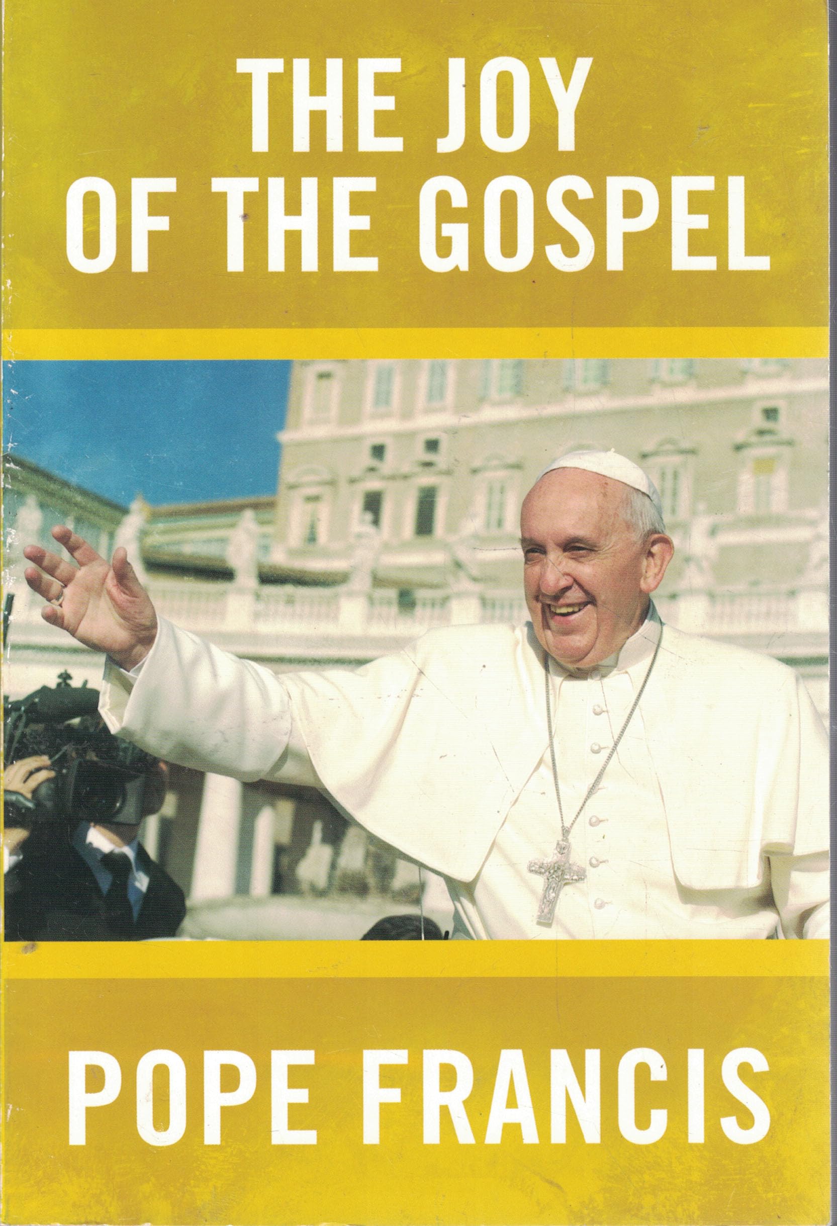 Buy The Joy of the Gospel — BookShops.in
