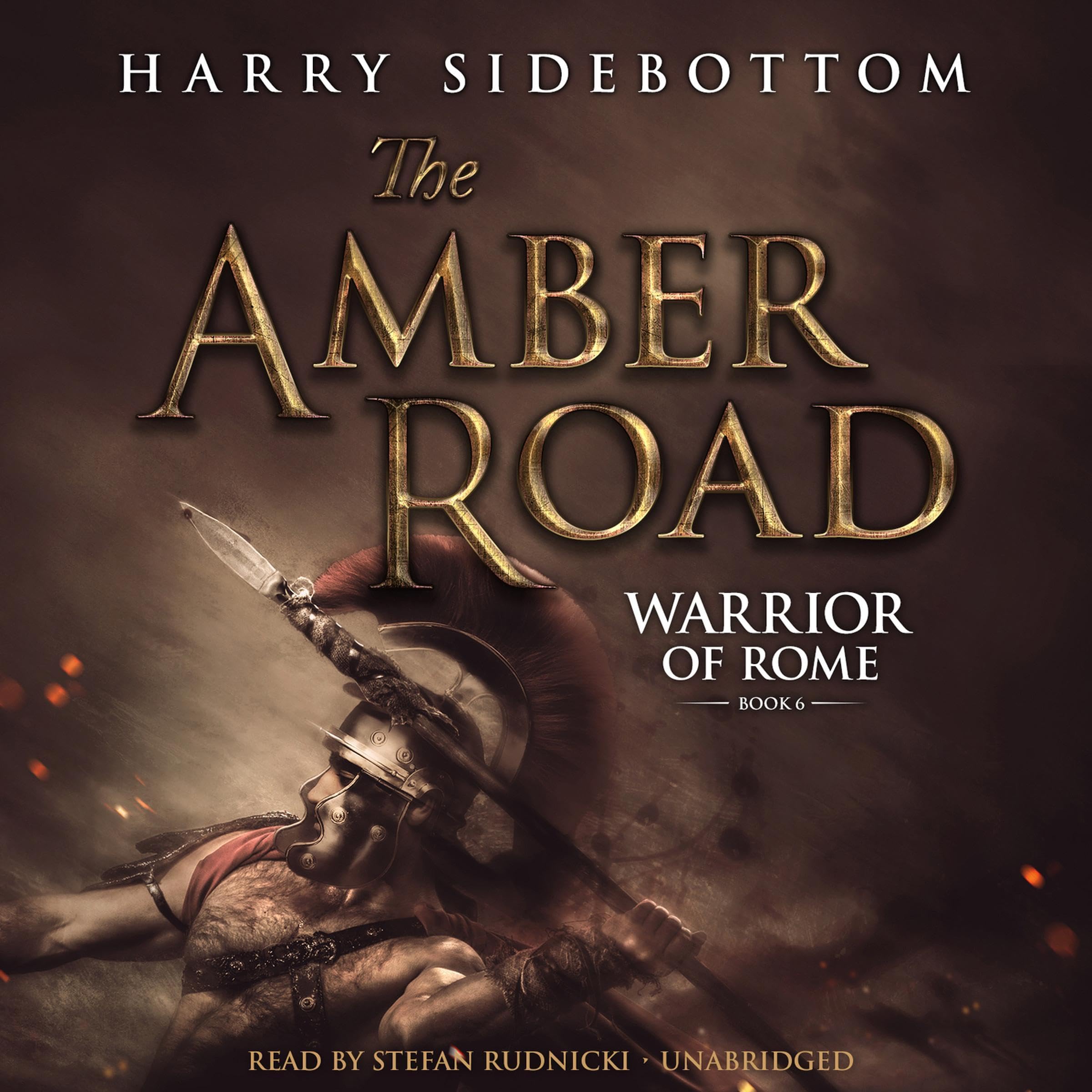 Cover art for The Amber Road