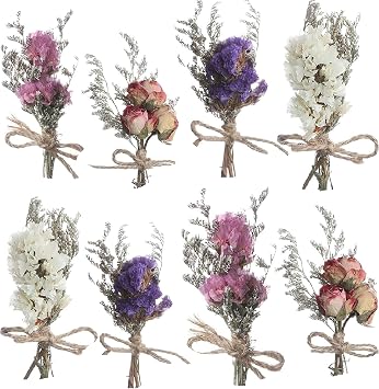 8Pcs Mini Dried Flowers Natural Forget-me-nots Dried Flowers Bouquet Dont Forget Me Flower Bouquets Natural Gypsophila Real Plant Stem Bunch for DIY Wedding Decorbe Some Slight Damage in Reality
