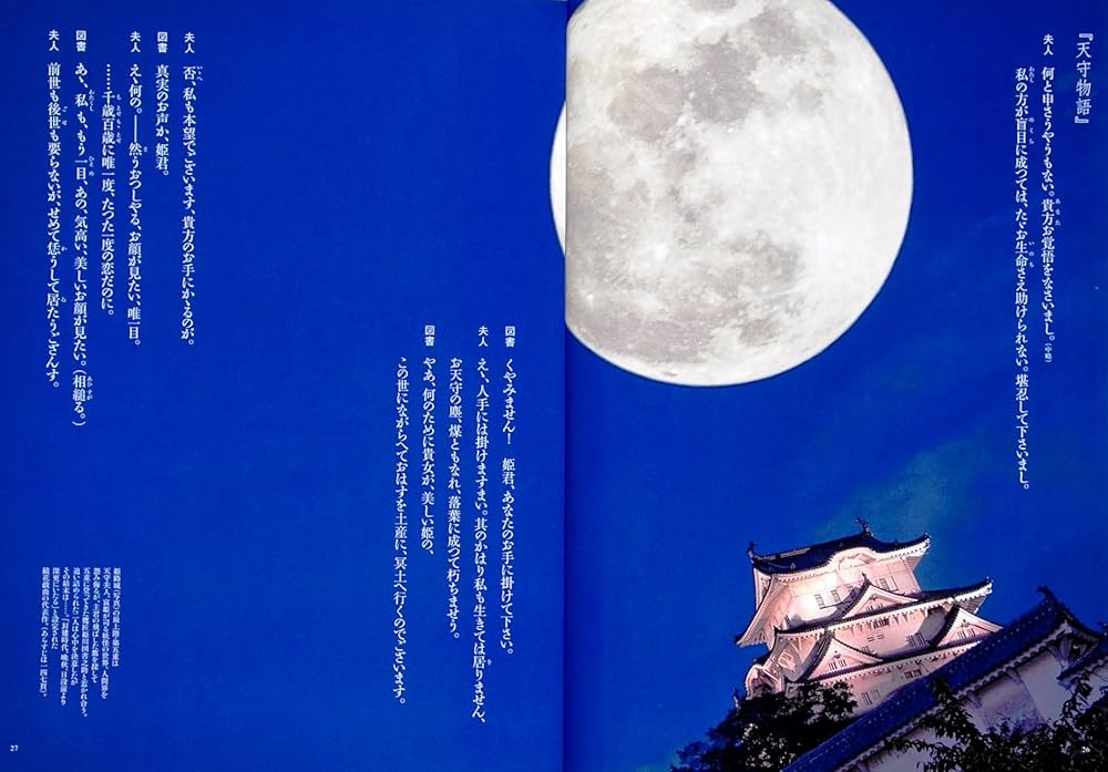 Amazon.co.jp: 別冊太陽 泉鏡花 美と幻影の魔術師 (別冊太陽
