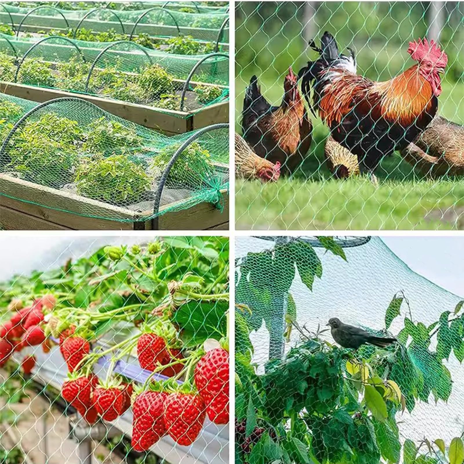 Green Bird Red de 4 x 10 m, resistente a los rayos UV, protección de frutas y veterinarios, fácil de instalar, protector de jardín, ideal para proteger las plantas