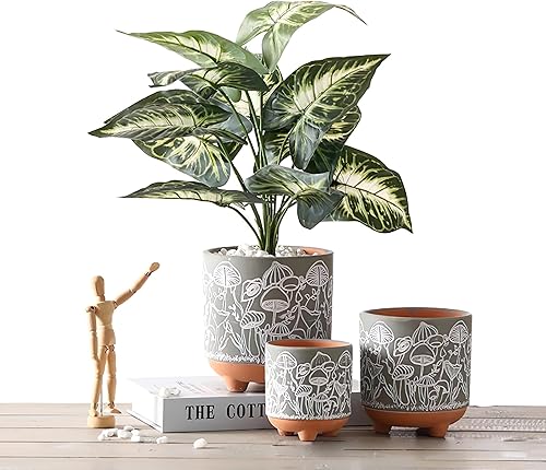 Happy Shrooms - Juego de macetas de terracota con drenaje, decoración única de hongos para plantas de interior (gris seta)