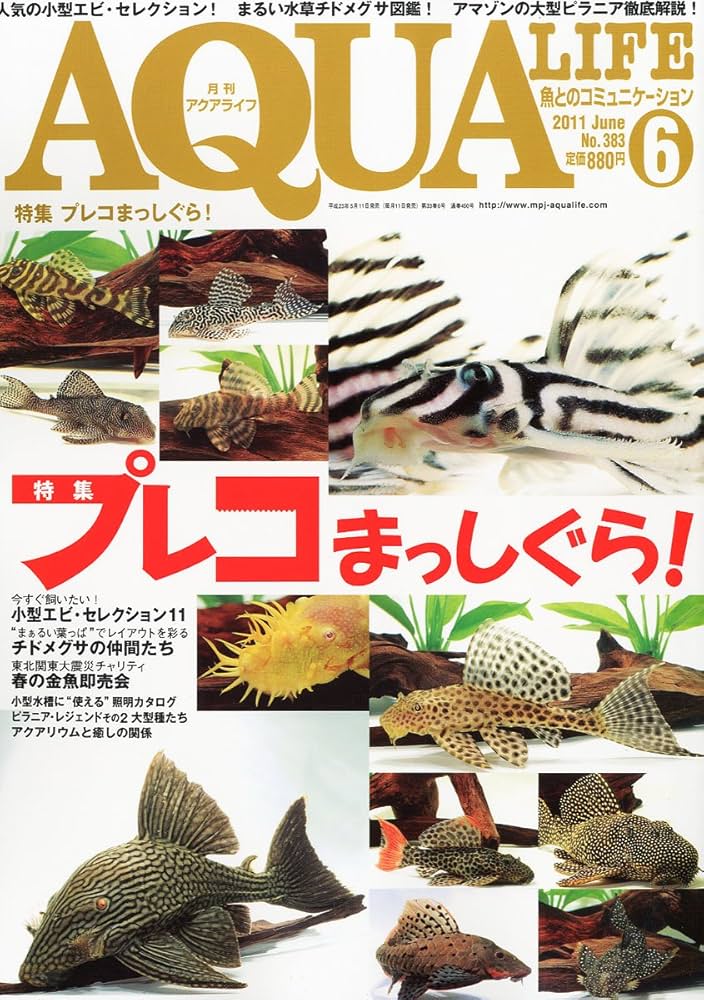 【専用】月刊アクアライフ 2011〜2014年1〜12（No.378〜425） 専用】月刊アクアライフ 2011〜2014年1〜12（No.378〜425） 専用