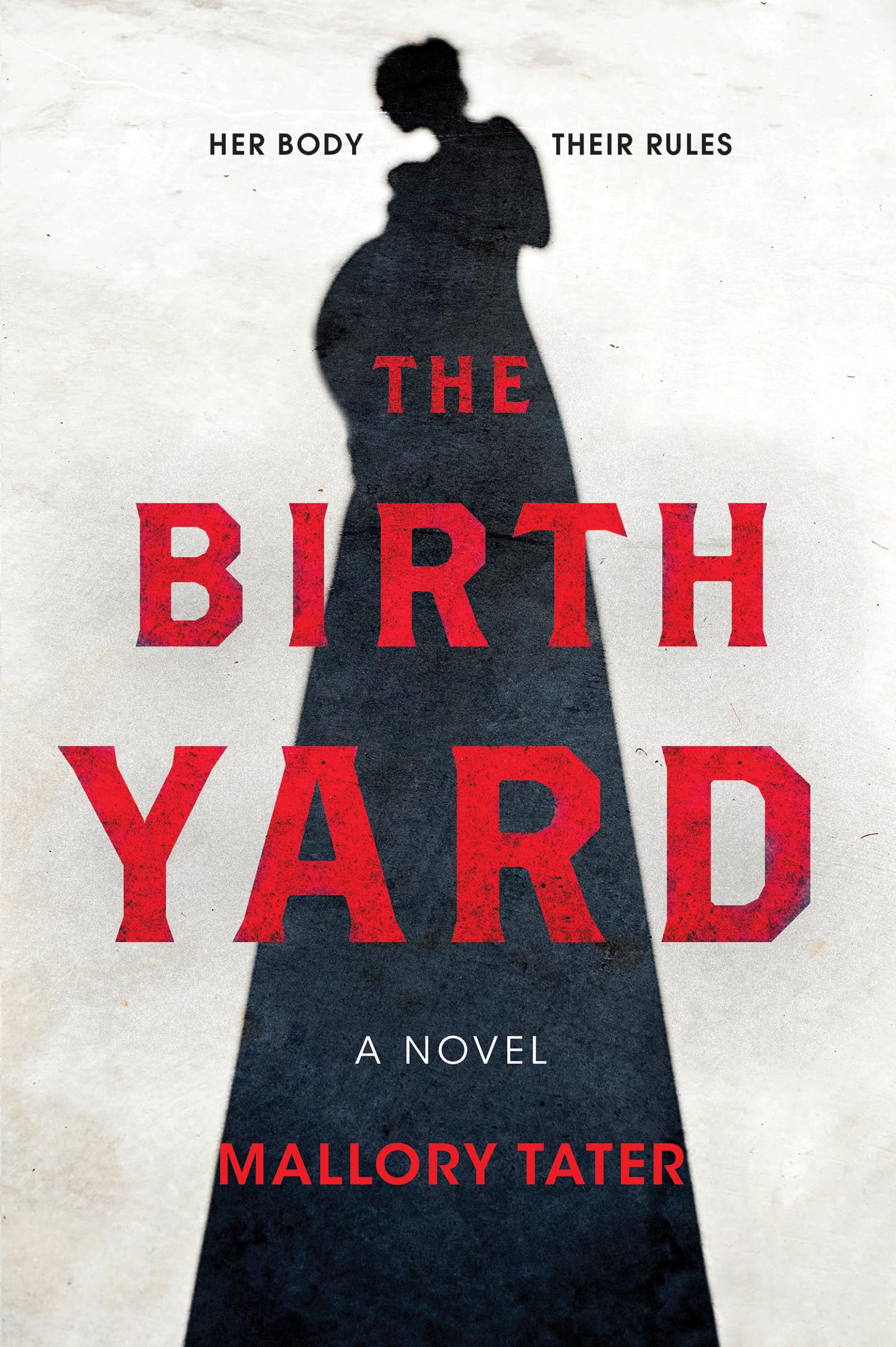 Buy The Birth Yard: A Novel — BookShops.in