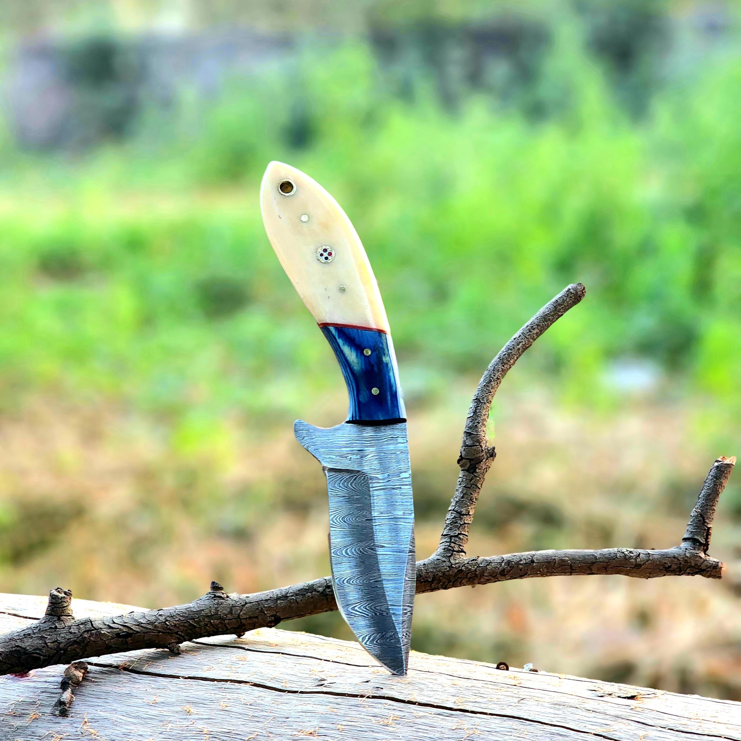 Wolf Cut Handmade Damascus Bull Cutter Knife Cowboy Knife Wood & Bone Handle Utility Knife EDC Fixed Blade Knife For Men women sharp Camping Knives Bushcraft Knife Classic Pancake leather Sheath (Blue Wood bone)