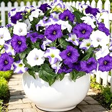 Artificial Flowers for Outdoors, 6 Bundles Fake Flowers Artificial Petunias for Outdoor Decoration, Artificial Faux Flowers Outdoor UV Resistant, No Fade Silk Petunias for Home/Outside Garden/Balcony