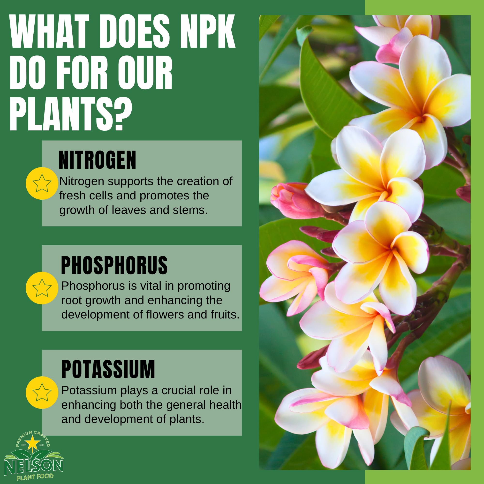 Nelson Plumeria Pflanze und alle blühenden Tropicals Futterfarne, Orchideen, Lilien im Bodenbehälter, Terrassen angebaut, Granulat-Dünger, NutriStar 5-30-5 (0,9 kg)