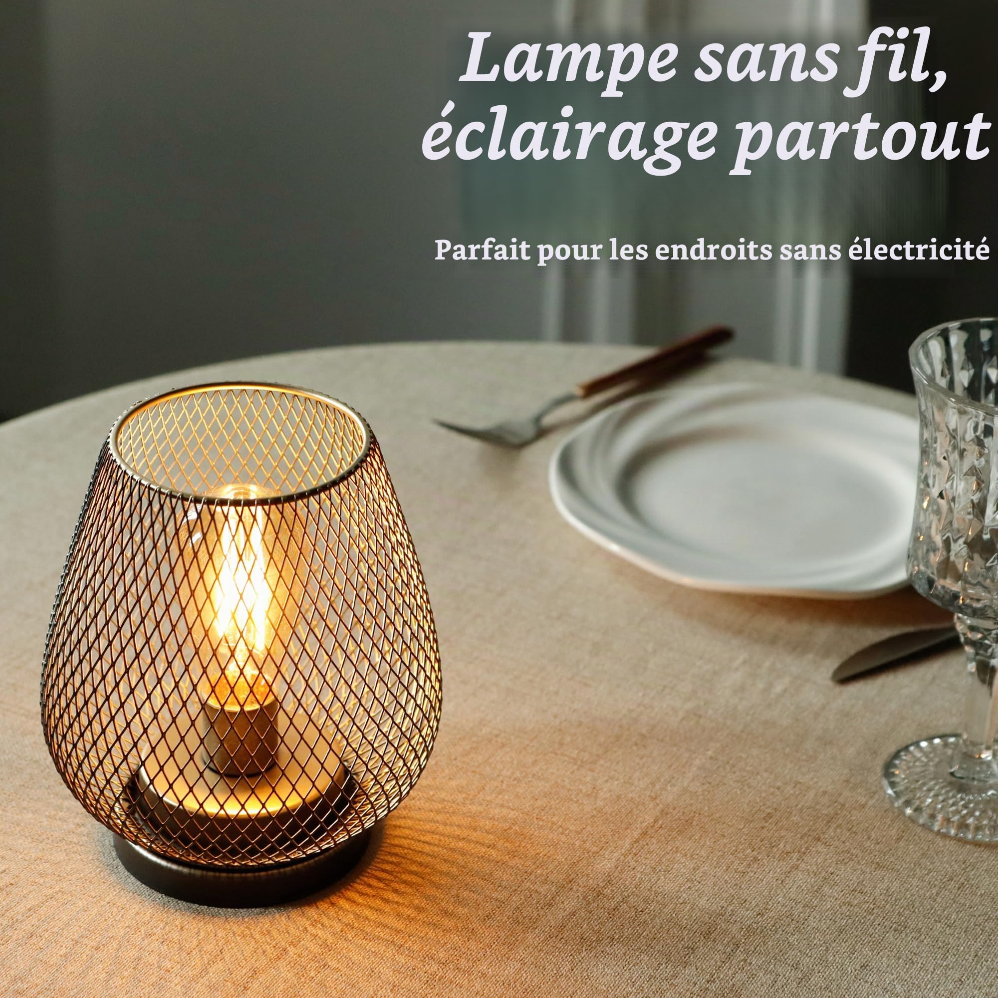 TRIROCKS Set de 2 lampes à piles métalliques 17cm de haut en forme de cage métallique Lampe de table sans fil Lanternes à piles avec ampoule LED Edsion pour jardin intérieur extérieur (Marron)