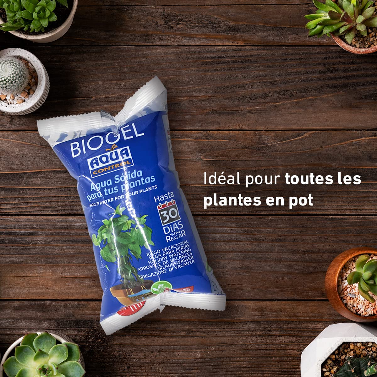 AQUA CONTROL Biogel C2140 Eau Solide pour Plantes, Arrosage Vacances 30 Jours, 400 ML