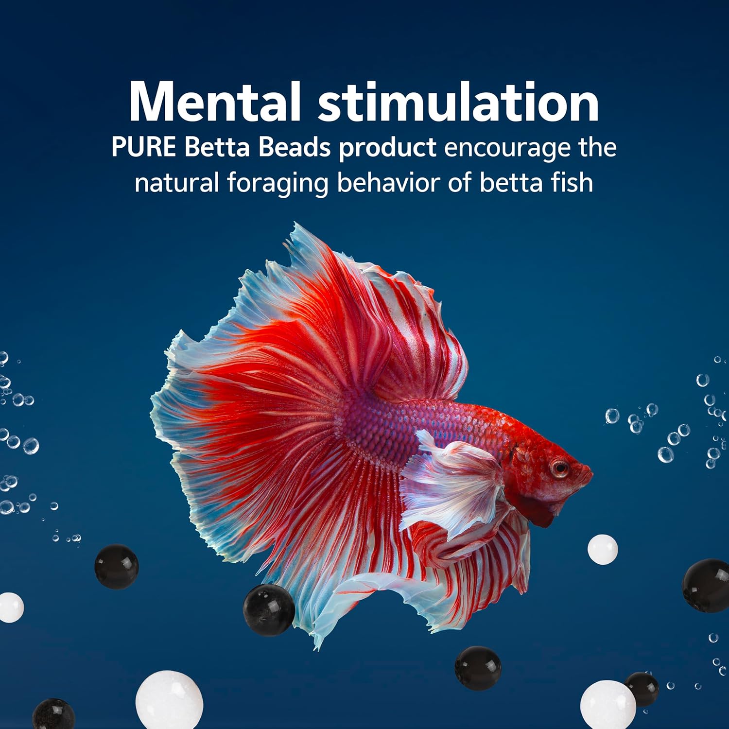 A vibrant red and white betta fish swimming among black and white Aqueon PURE Betta Beads, with text 'Mental stimulation PURE Betta Beads product encourage the natural foraging behavior of betta fish'.