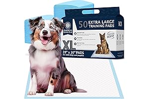 Wee Wee Pads for Dogs XL 100 Count