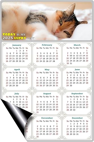 Miniatura 2 de Calendario magnético 2024  Imanes del calendario  Today is my Lucky Day  Resistente a la decoloración, desgarros y agua  Temática de gato 04 (7 x
