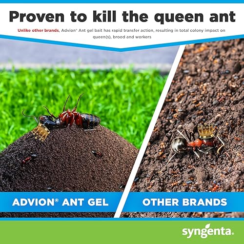 Miniatura 5 de Syngenta Advion Ant Gel Station Insecticida, cebo de gel para hormigas listo para usar con el ingrediente activo Indoxacarb, cebo para uso en