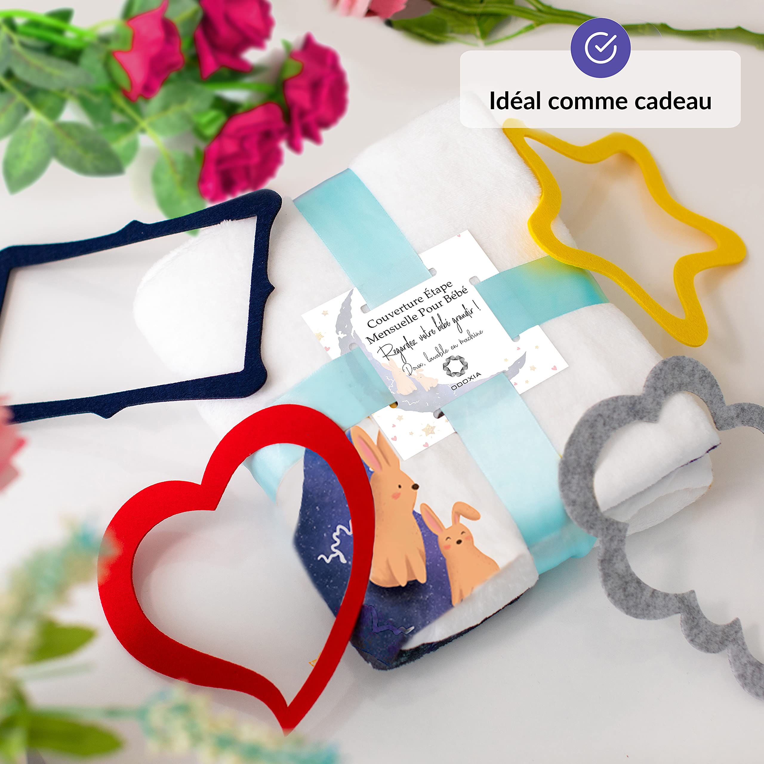 ODOXIA Couverture Etape Bébé en Français | Tapis Mois Bebe Garçon Ou Fille, Unisexe | Couverture Personnalisée Babyshower | Thème Lune | Douce et Épaisse Photo | Suivez Sa Croissance