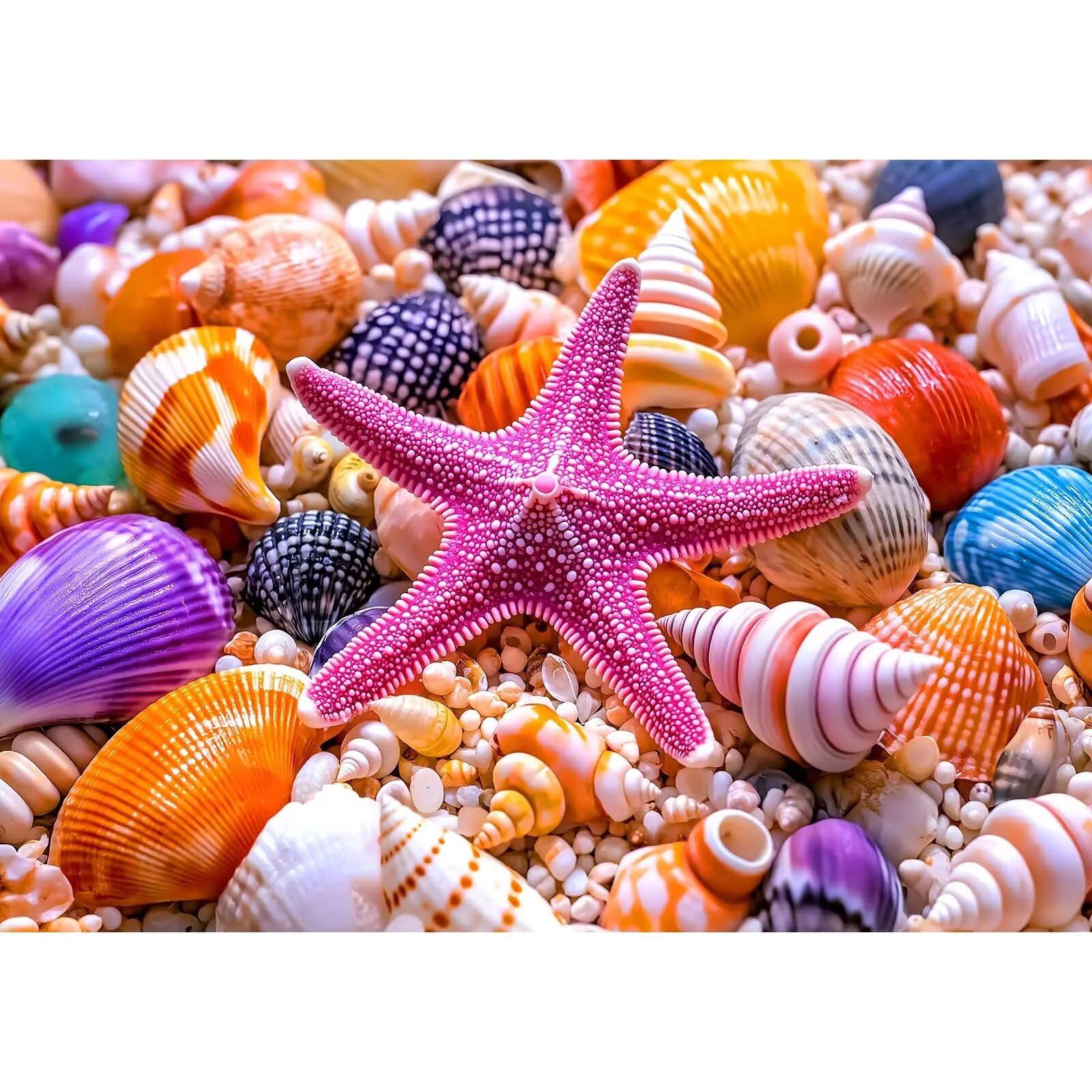 Puzzles 1000 Pièces Adultes Coquillages Étoiles Mer 75 x 50 cm Jeu Educatif Puzzle Impossible Puzzle Adultes 1000 Pièces Puzzles