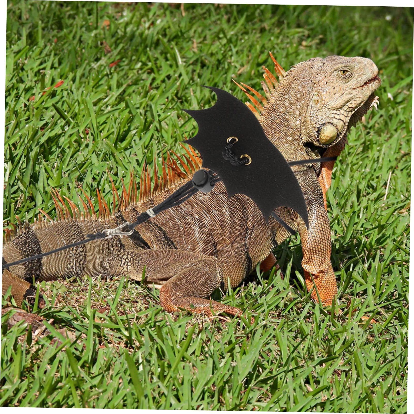 VANZACK 2 Pack Lizard Leash Reptile Harness for Tortoise Bearded Dragon Pet Reptiles Traction Rope Harness 6ft