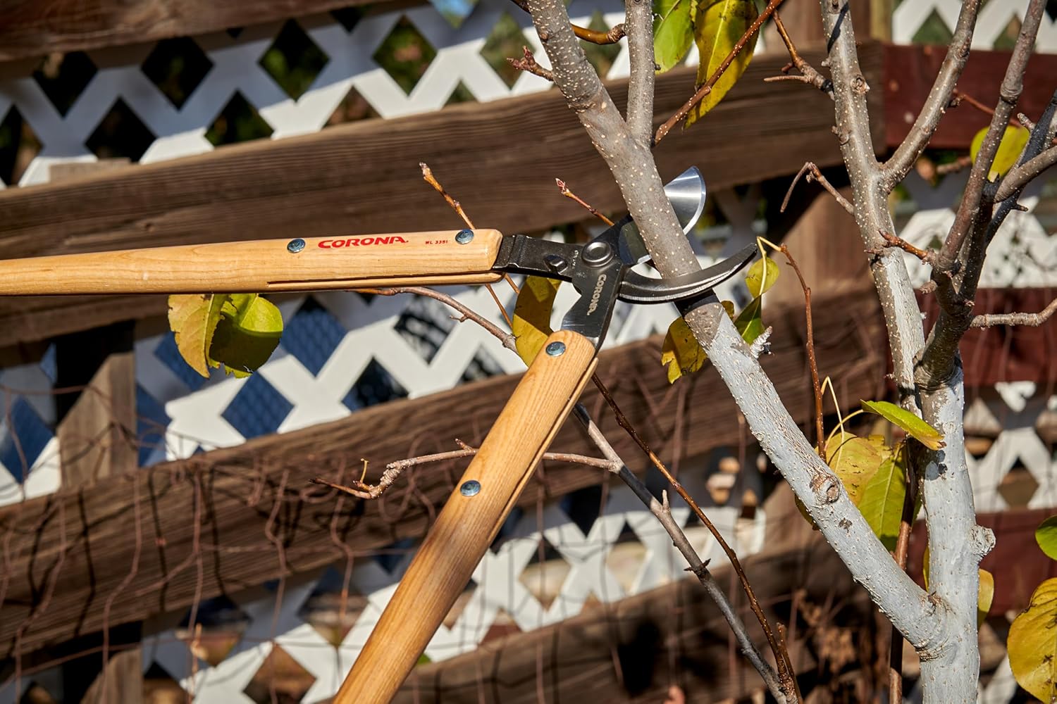 Corona Tools Razor Tooth Folding Saw, 10” Curved Blade – Portable Hand Pruning Saw for Trees, Branches & Camping