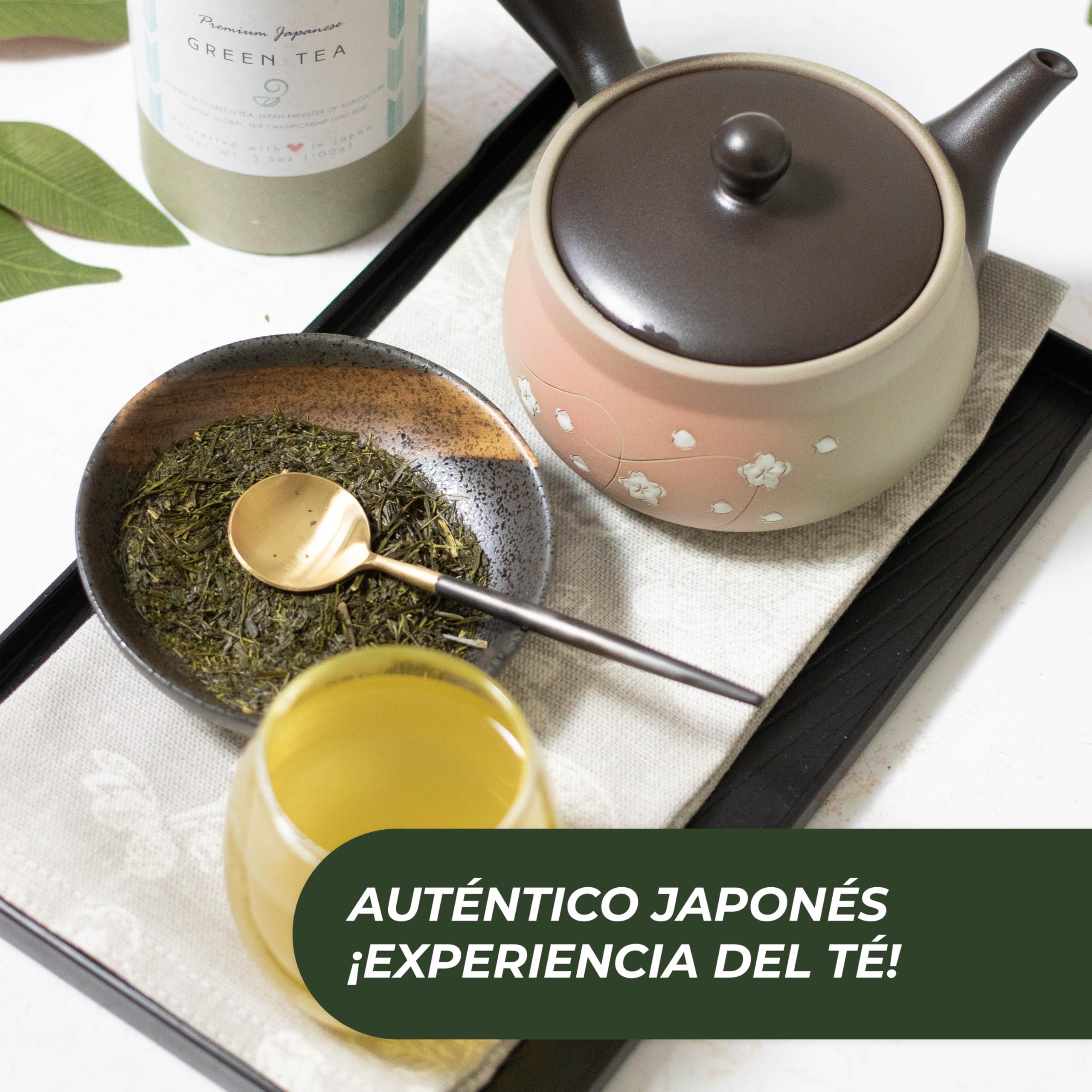 Japanese Green Tea Co. Tetera japonesa de arcilla roja para té verde (9 onzas), tetera tradicional de arcilla fabricada en Tokoname con diseño floral, sistema de malla fina para té Fukamushi al vapor