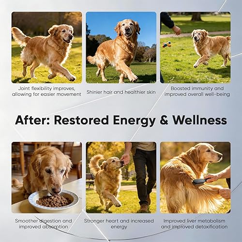 Miniatura 8 de Suplementos para perros mayores apoya la vitalidad celular, la flexibilidad de las articulaciones, la salud del hígado y el corazón, con NAD+,