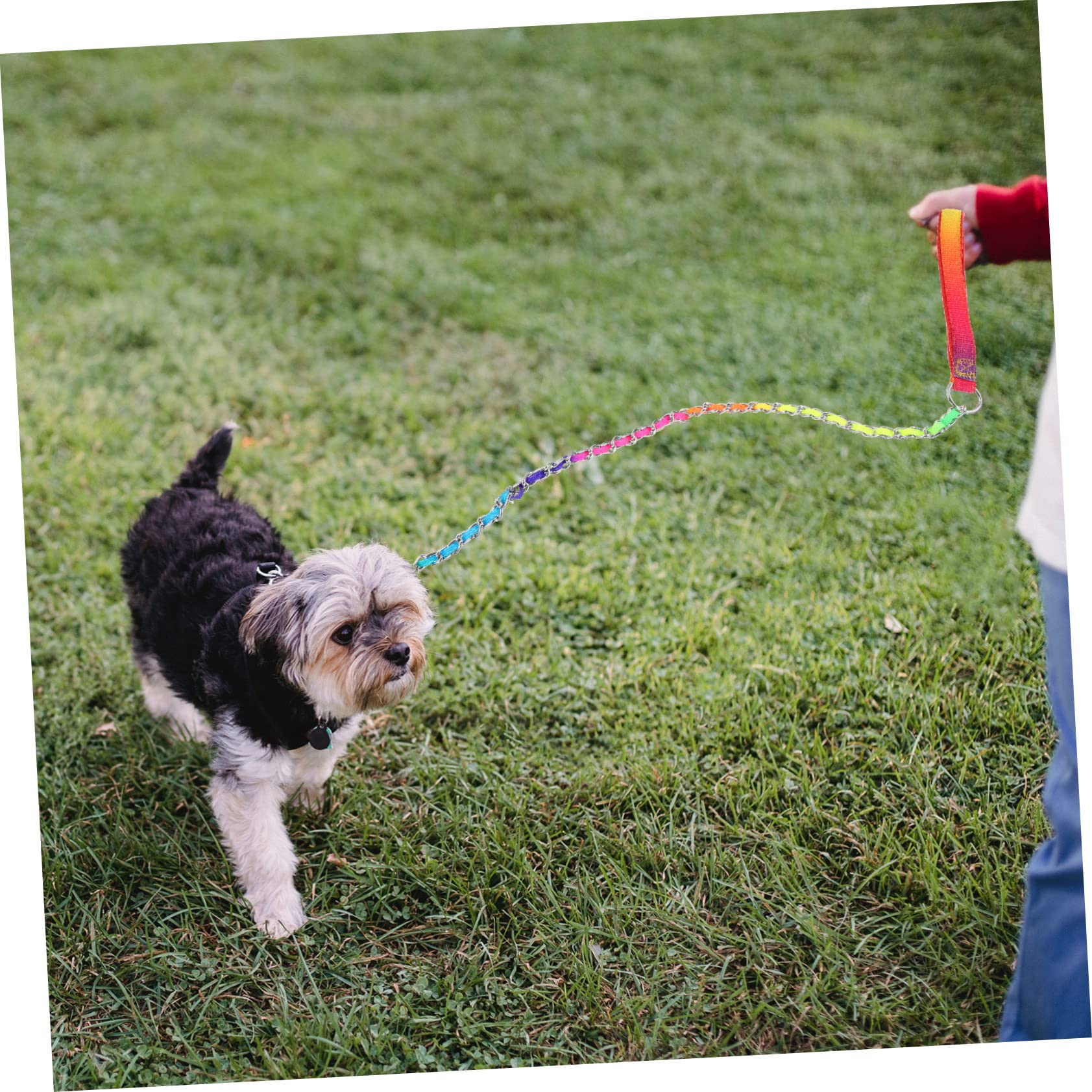 GRIRIW Professional Wear-resistant Dog Chain Lightweight and Sturdy Pet Leash Comfortable and Skin-friendly Convenient for Daily Use Anti-bite Design for Puppies - Image 4