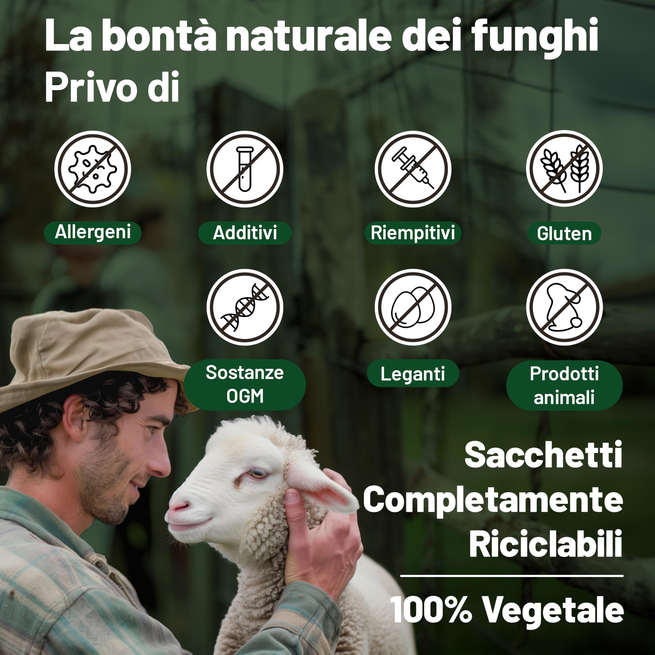 Vegan Vitality Integratore di 6 Funghi: Reishi, Lions Mane, Cordyceps, Chaga, Shiitake e Maitake - 120 Capsule da 500mg – Formula Concentrata