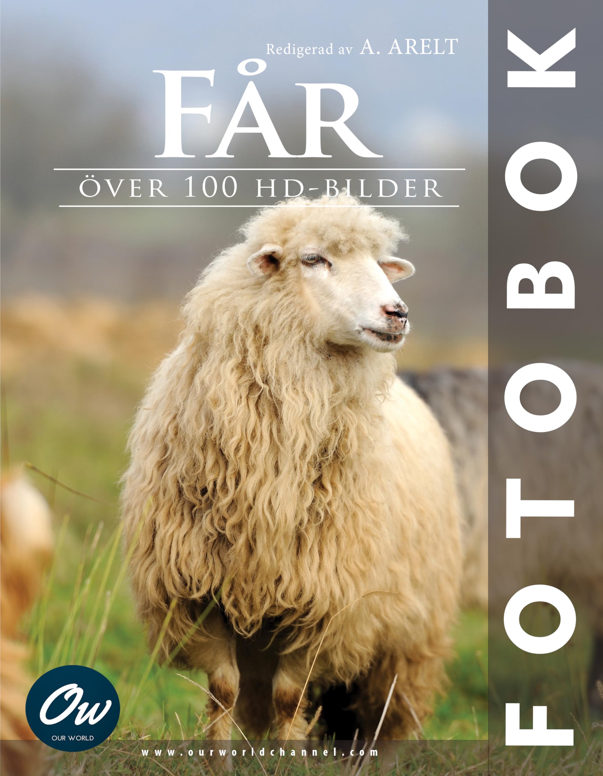 Får livre photo suédois capturant la mélancolie poétique des paysages insulaires nordiques