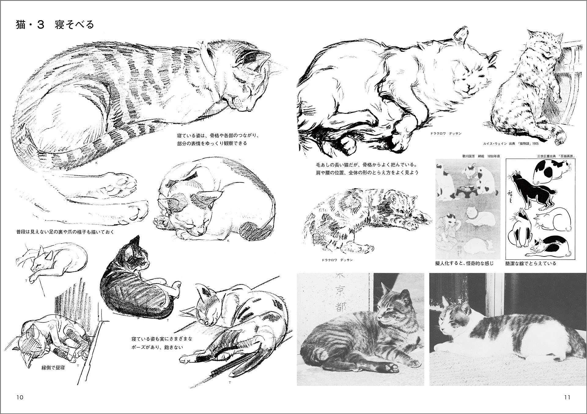 動物スケッチ 1 小動物編 みみずくアートシリーズ 内田 広由紀 本 通販 Amazon 動物スケッチ 1 小動物編 みみずくアートシリーズ 内田 広由紀 本 通販 Amazon