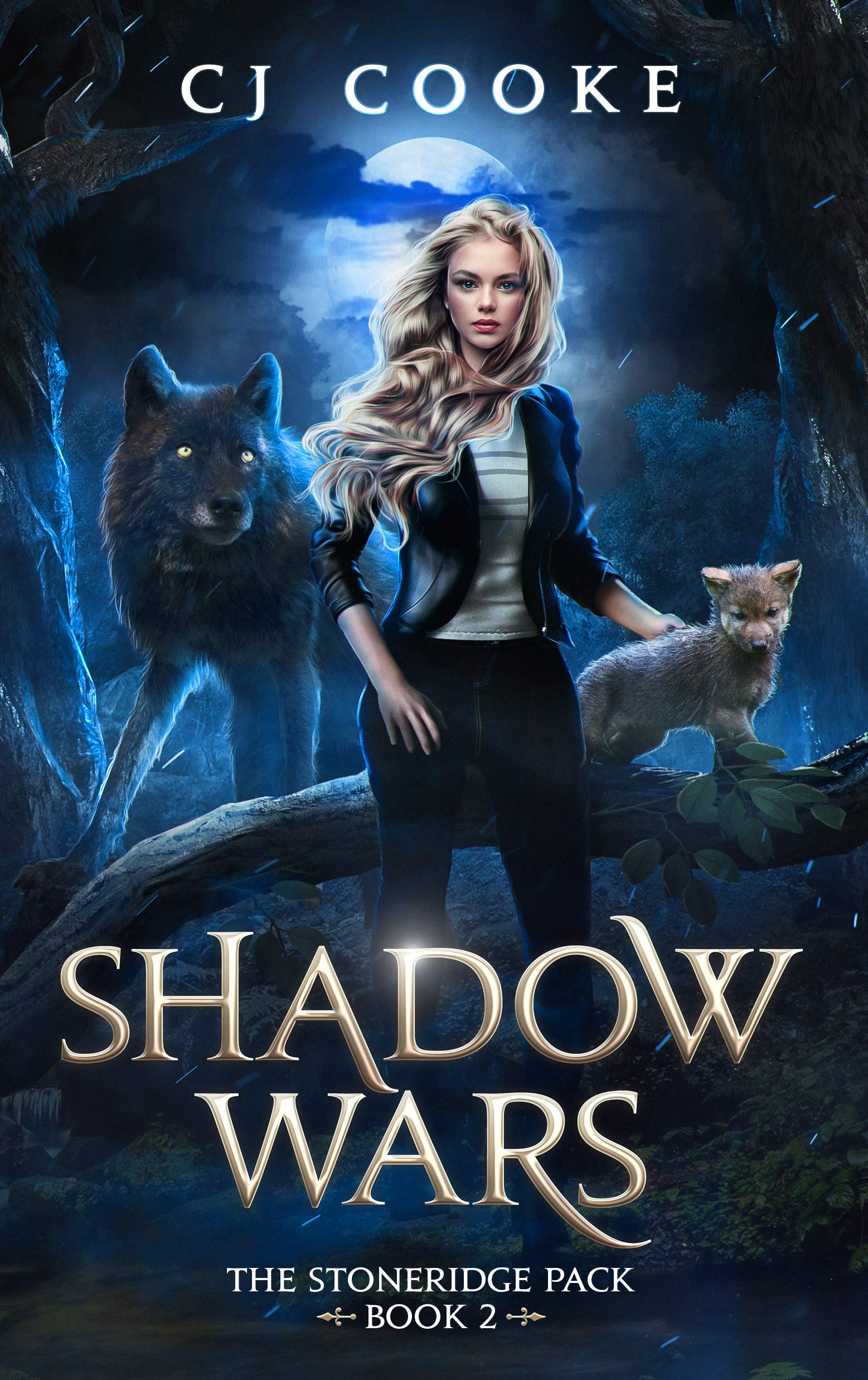 Shadow Wars: Stoneridge Pack, Book 2