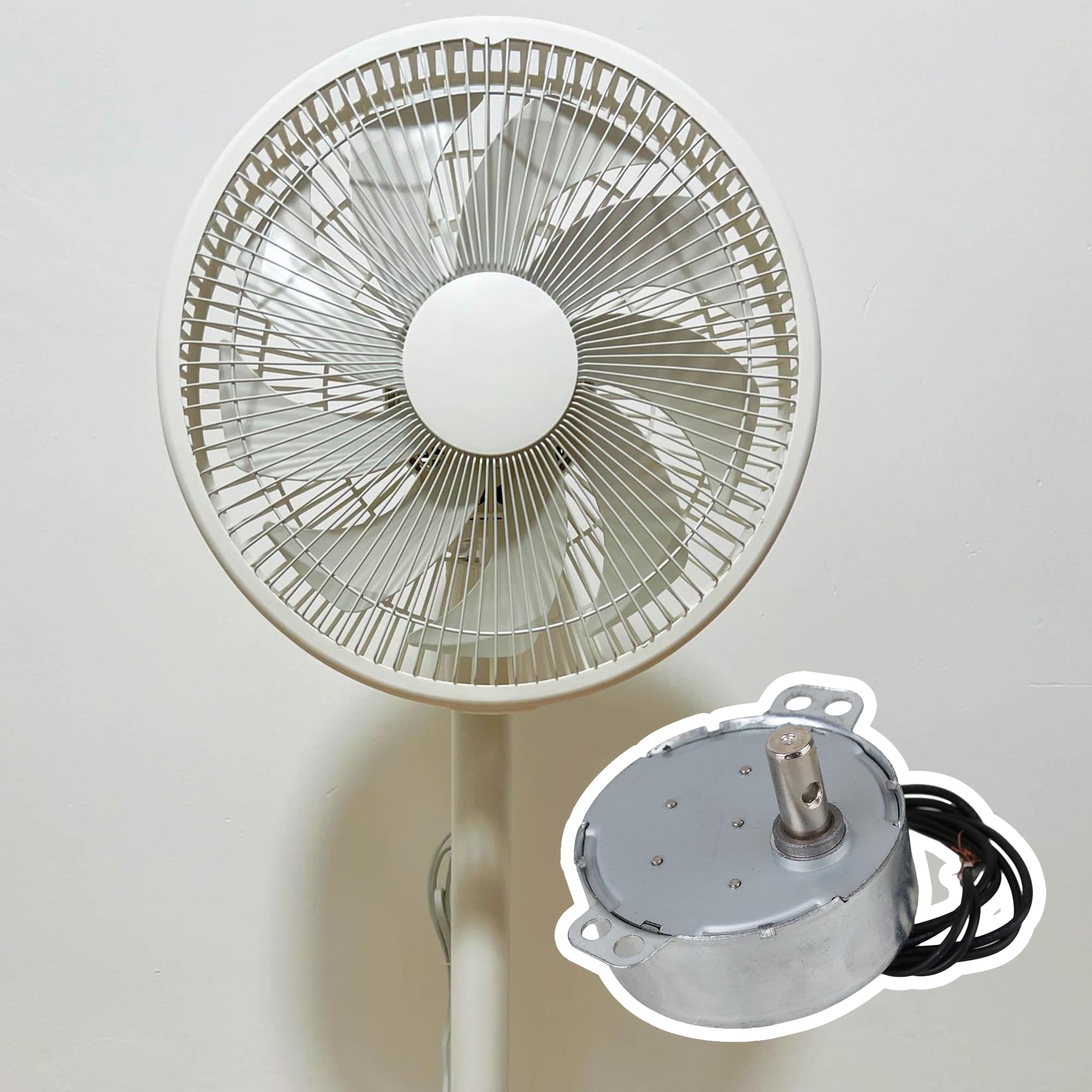 TYC-50 AC 220-240V Motor síncrono 15-18RPM CW/CCW 4W Torque 1.5kgf.cm