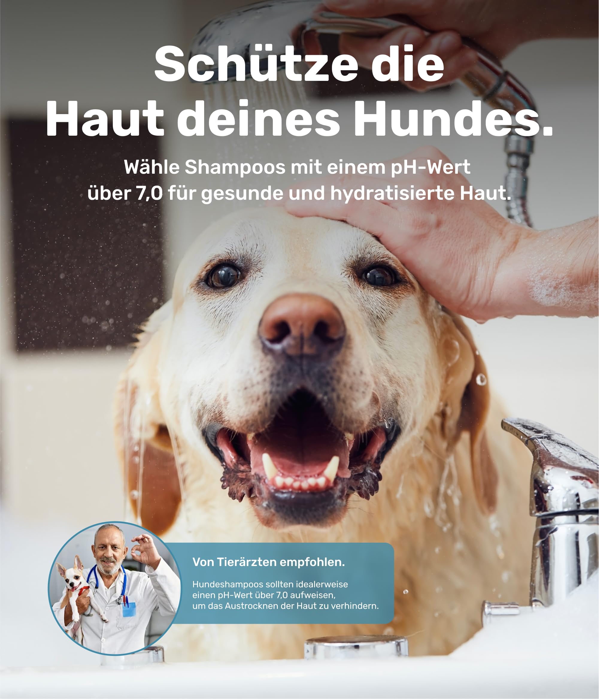 PetTec - Szampon dla psów wrażliwy z aloesem 500 ml butelka z pompką - neutralny pH (7) i natłuszczający szampon dla wszystkich ras psów - pielęgnacja sierści psa bez parabenów, silikonu i substancji