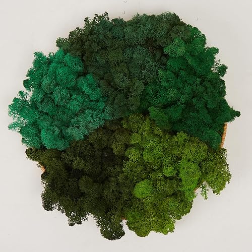 Miniatura 32 de Musgo de Reno Preservado Verde Natural Kit de Bricolaje Arte de Jardinería Decoración de Pared Decoración de Floristería Decoración de Mesa