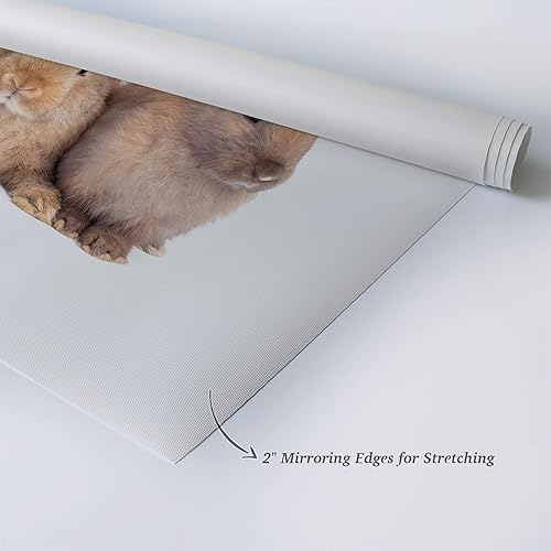 Vista 135 de Smile Art Design Border Collie Bulldog Rottweiler Cachorro Persa Gatito Animal Lienzo Impresión Arte de Pared Pet Cat Dog Lover Sala Dormitorio