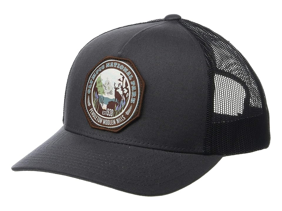 

Pendleton National Park Trucker Hat (Charcoal/Olympic) Baseball Caps, Gray