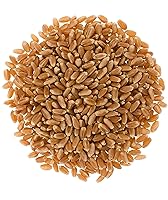 Vista 3 de Granos de trigo duro rojo de invierno transgénicos, 100 % sin irradiar. Certificado Kosher Parve. Cultivado en EE. UU. Registro de campo